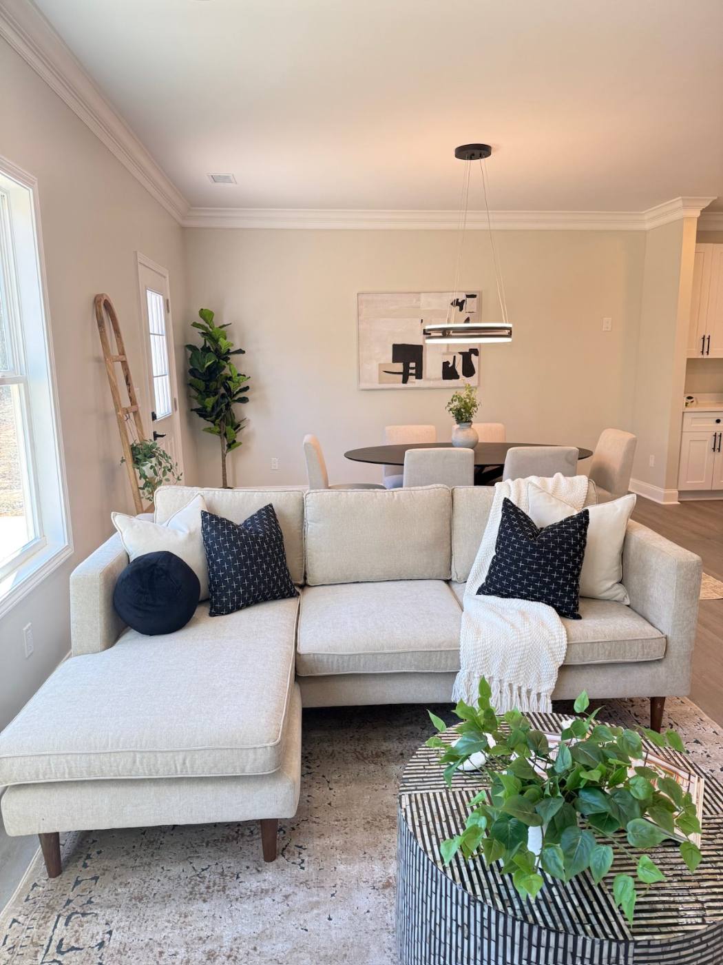 Light-filled living room